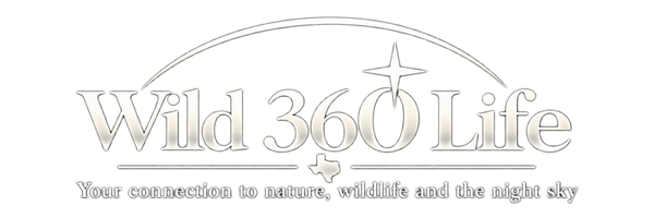 Wild 360 Life